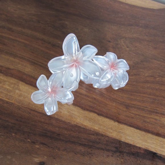Emi Jay Accessories - New in Box Emi Jay Super Bloom Hair Claw Clip Pink